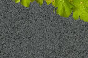 Sohlbank Außenfensterbank Granit G654  Padang dunkel | naturstein-online-kaufen.de