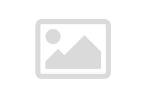 Bordstein Silver Granit 100x20x8 cm